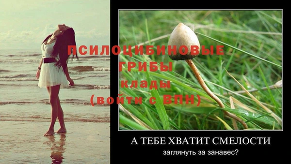 mdma Михайловск