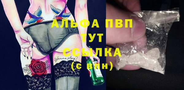 PSILOCYBIN Горняк