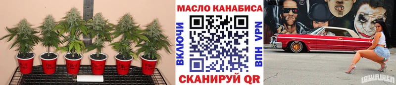 закладка  KRAKEN ссылка  Дистиллят ТГК вейп с тгк  Красноярск 