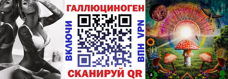 как найти   kraken зеркало  Псилоцибиновые грибы Cubensis  Красноярск 