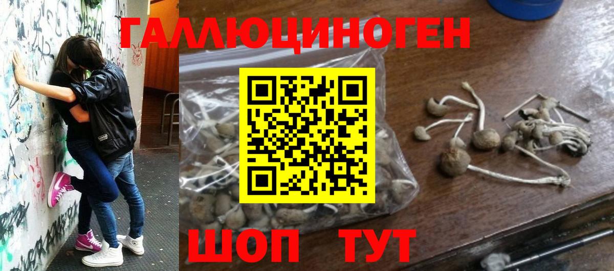 Гарик  Мед  Диски  А ПВП  Россия  МЕФ  Вход с VPN  COCAIN  Амфетамин  Марихуана  КОКАИН  MDMA 