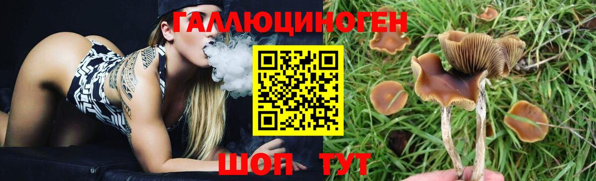 Галлюциногенные грибы мухоморы  Псилоцибиновые грибы Magic Shrooms  Россия  Вход с VPN 